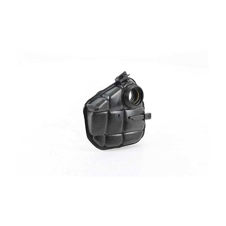 RADYATOR YEDEK SU DEPOSU - 164 (2005-2015) - BSG - OEM: A1645000049