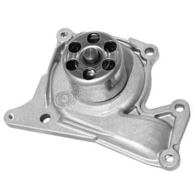 DEVIRDAIM SU POMPASI TEK TEKER GRAF PA1037 - MASTER-III/TRAFIC-II/VIVARO/QASHAI (09-) - BUGATTI - OEM: 210103098R