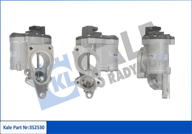 EGR VALFI - MEGANE II/SCENIC II/LAGUNA II / SUZUKI GRAND VITARA (05-) - KALE - OEM: 8200850755