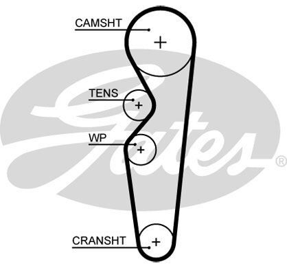 TRİGER KAYIŞI (097x216) CHERY AMULET 1.6 16V 03=> KARRY 1.6 07=> - GATES