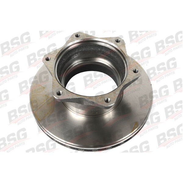 FREN DISKI ARKA - VARIO.612,814,815,816.D (96+&) - BSG - OEM: A6684230012