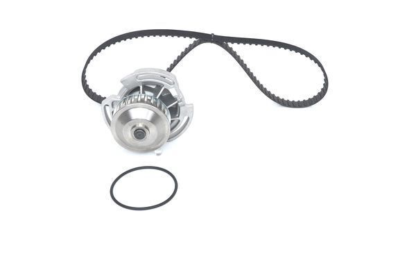 SU POMPALI TRİGER SETİ WASSERPUMPEN-SET - BOSCH
