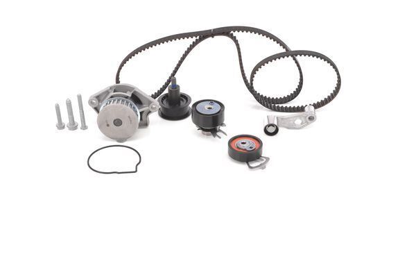 SU POMPALI TRİGER SETİ WASSERPUMPEN-SET - BOSCH