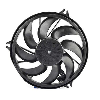 FAN MOTORU - 206 (250W) (04-) - BSG - OEM: 1253.91 / 1253.C5
