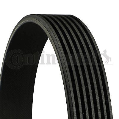 V KAYISI . - RAV4 (A2) (01-05) - CONTITECH - OEM: 90916-02502