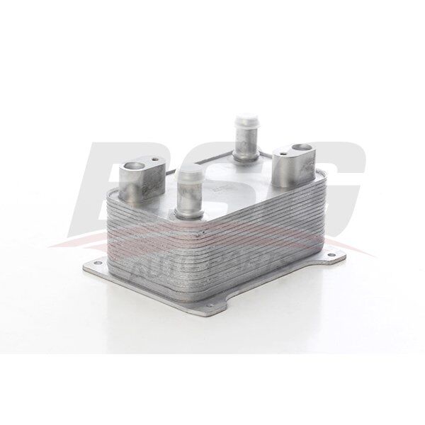 SANZIMAN YAG SOGUTUCU 8M0 376 701-504 - PASSAT (05-10) - BSG - OEM: 4E0317021H