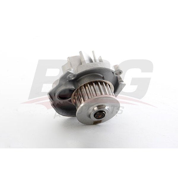 DEVIRDAIM SU POMPASI - G.PUNTO/BRAVO II/LINEA/EGEA/500 (01-) - BSG - OEM: 55204538