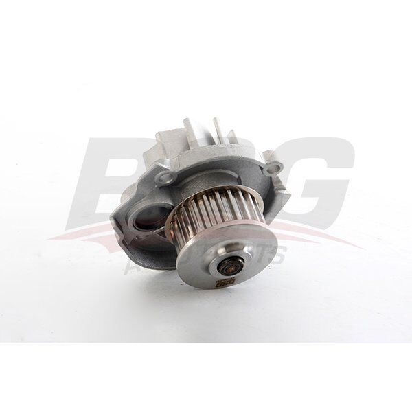 DEVIRDAIM SU POMPASI - G.PUNTO/BRAVO II/LINEA/EGEA/500 (01-) - BSG - OEM: 55204538