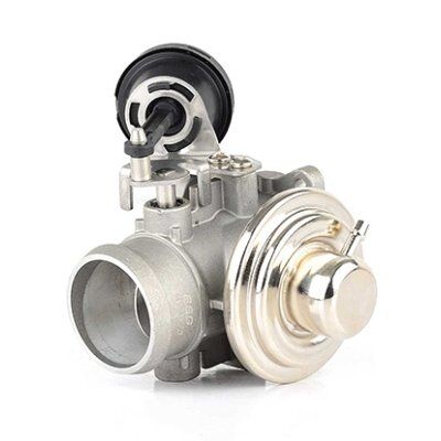 EGR VALFI 7.24809.17.0 / 7293D - POLO-GOLF4-BORA-A3-TOLEDO (97-04) - BSG - OEM: 045131501C