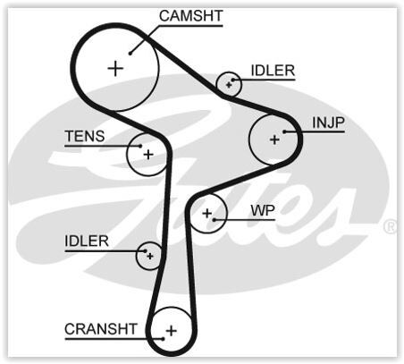 TRİGER KAYIŞI (145x25) VW GOLF VI 2.0TDI 13=> GOLF VII 1.6TDI-2.0TDI 12=> JETTA IV 2.0TDI 10=> - OEM: 04L109119A - GATES