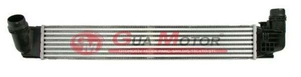TURBO RADYATORU INTERCOOLER ( DACIA : DUSTER 1.5DCI 10> ) - OEM: 8200880552 - GUA