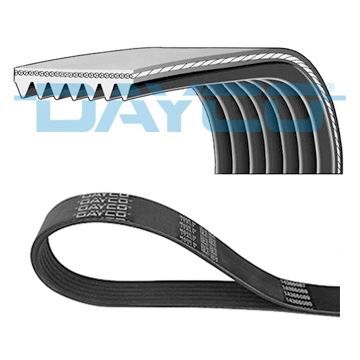 V KAYISI - FIAT/HONDA (00-) - DAYCO - OEM: 7597170