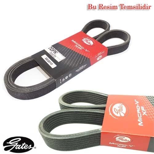 KANALLI KAYIŞ AUDI FORD SEAT VW BORA GOLF TRANSPORTER 2.3 2.8 3.2 20V 24V - OEM: 1111241 - GATES