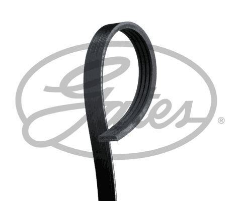 V KAYISI KANALLI KAYIS - LAGUNA/KIA/MAZDA/BMW (98-) - GATES - OEM: 7700717899