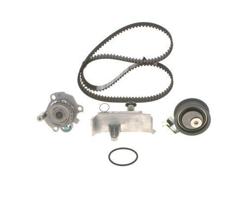 SU POMPALI TRİGER SETİ WASSERPUMPEN-SET - BOSCH