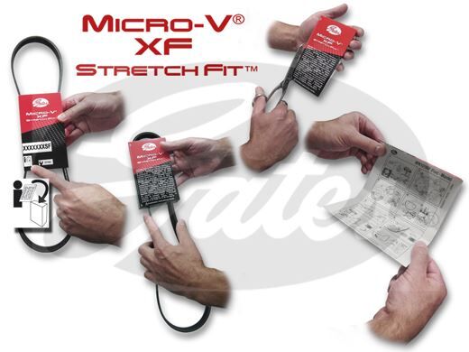 KANALLI KAYIŞ FOCUS-CMAX-C30-S40-V50 - OEM: 3M5Q6C301CB - GATES
