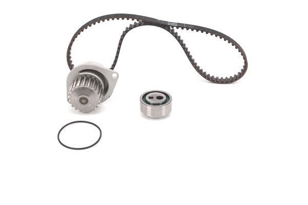 SU POMPALI TRİGER SETİ WASSERPUMPEN-SET - BOSCH