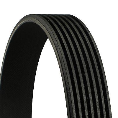 V KAYISI - NAVARA (05-09) - CONTITECH - OEM: 11720-EB70B