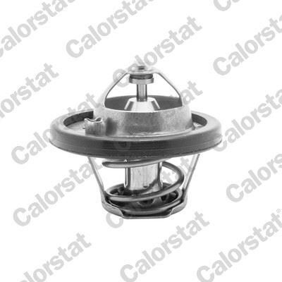 TERMOSTAT 74 CC - FIESTA/FOCUS (95-04) - VERNET - OEM: 96MM 8575 B1A
