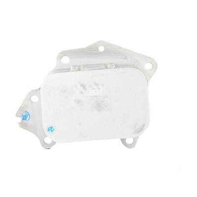 YAG SOGUTUCU RADYATORU TEK PETEK /(11427805977) - 206/307/407/MINI/FOCUS/MONDEO/COURIER (03-) - BSG - OEM: 1103.L1 / 1103.P0